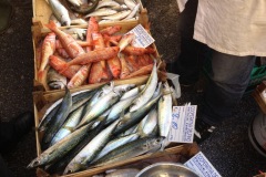 Trapani-mercato-pesce